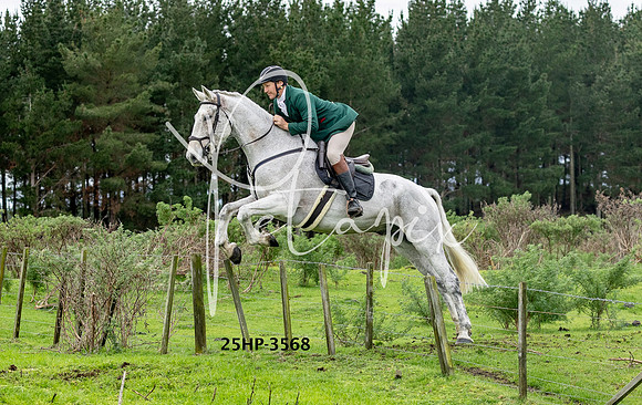 25HP-3568