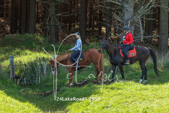 24LakeRoad1-2959