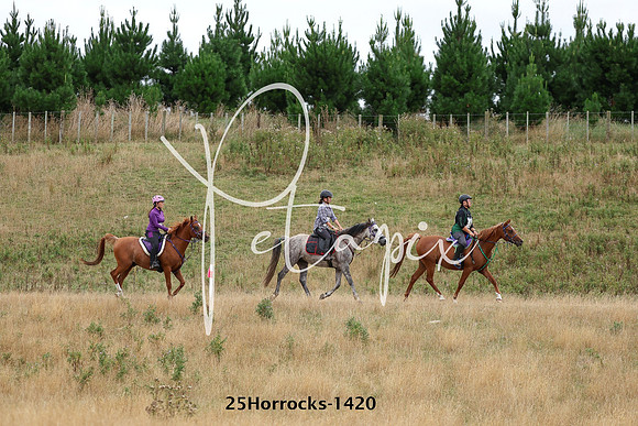 25Horrocks-1420