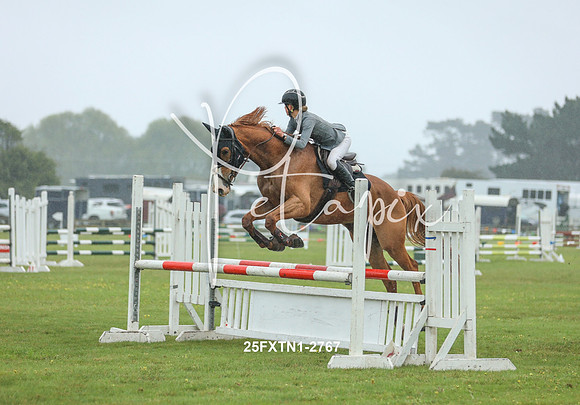 25FXTN1-2767