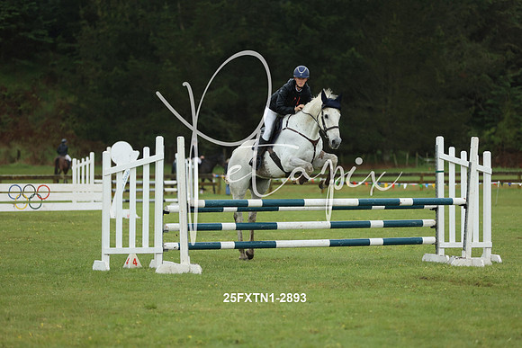 25FXTN1-2893