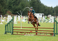 SUNDAY Show Hunter