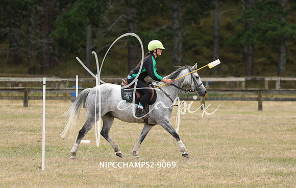 NIPCCHAMPS2-9069