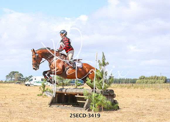 25ECD-3419
