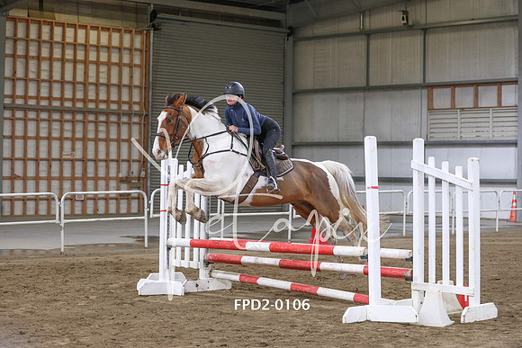 FPD2-0106