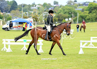Few Show classes