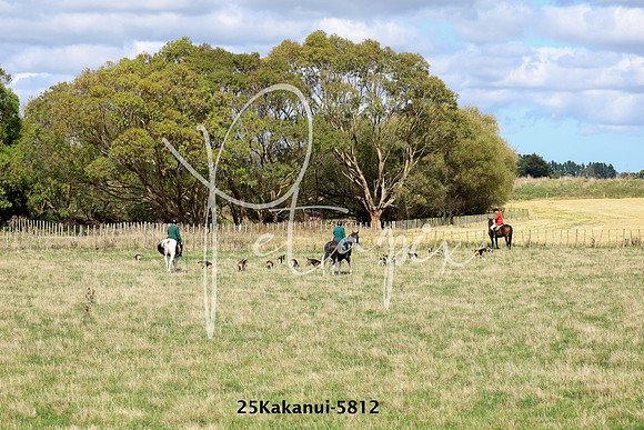 25Kakanui-5812