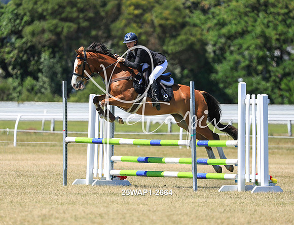 25WAP1-2664