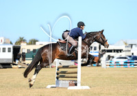 25WAP2-4009