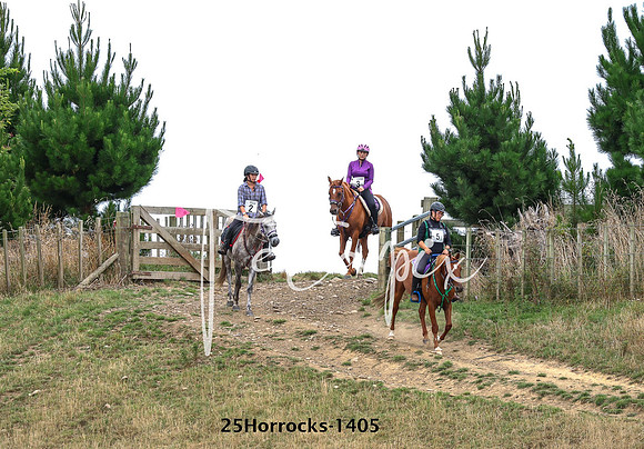 25Horrocks-1405