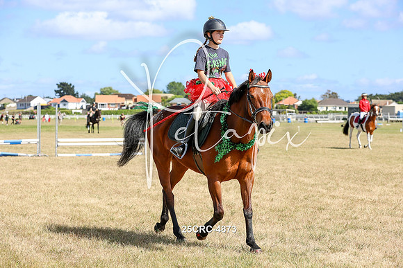 25CRC-4873