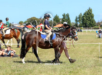 White & Pink Ring - lead & learners