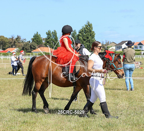 25CRC-5029