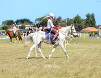 25CRC-5300