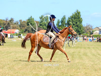 25CRC-5281