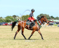 25CRC-5312