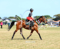 25CRC-5316