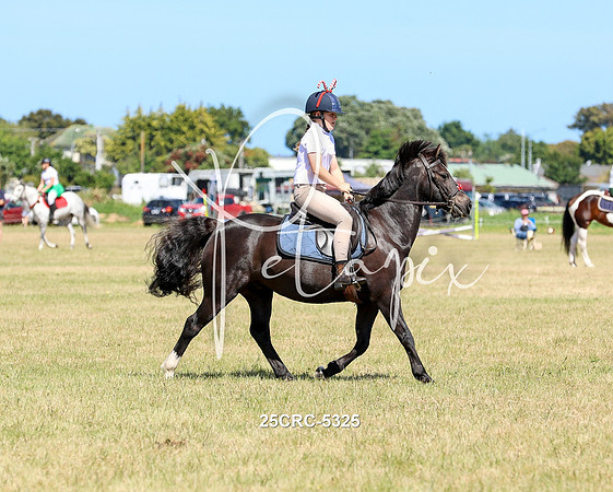 25CRC-5325