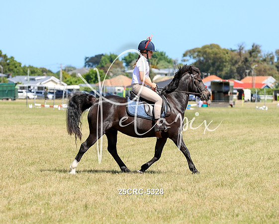 25CRC-5328