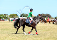 25CRC-5342