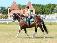 25CRC-5194