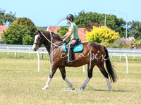 25CRC-5197