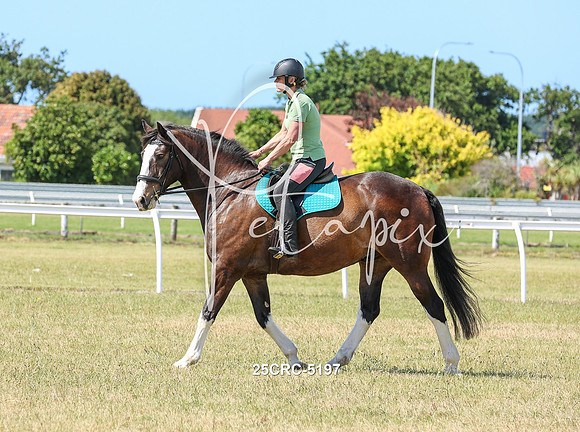 25CRC-5197
