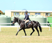 25CRC-5201