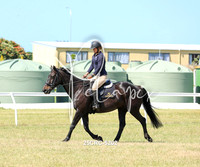 25CRC-5202