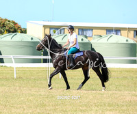 25CRC-5207