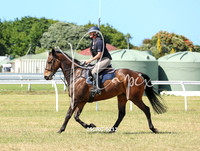 25CRC-5213