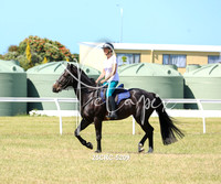 25CRC-5209