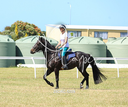 25CRC-5209