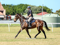 25CRC-5215