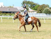 25CRC-5218