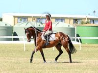 25CRC-5227