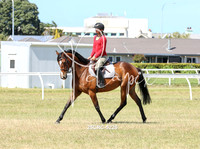 25CRC-5225