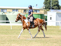 25CRC-5231
