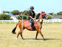25CRC-5068