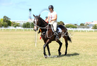 25CRC-5124