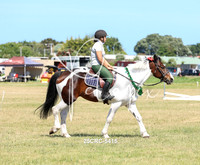25CRC-5415