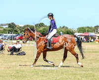 25CRC-5443