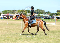 25CRC-5445