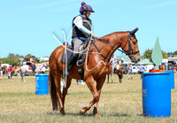 25CRC-5768