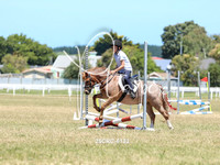 25CRC-6133