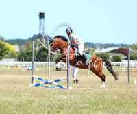 25CRC-6171