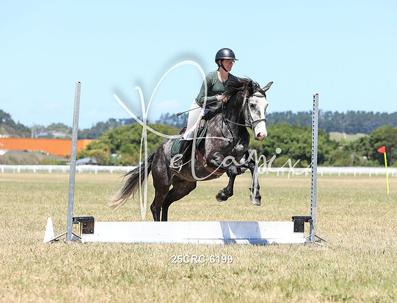 25CRC-6199