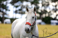 2023- Eventing Central Districts 1&2 April-photos