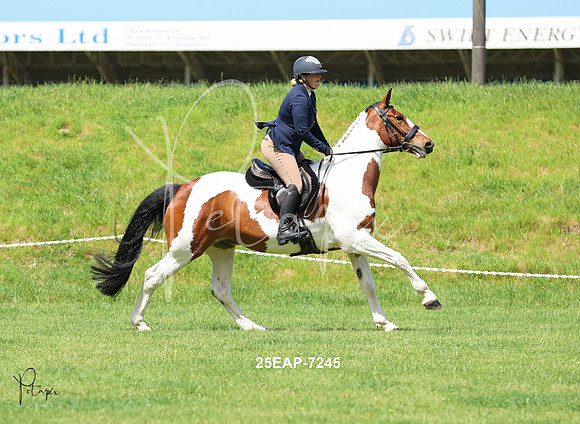 25EAP-7245