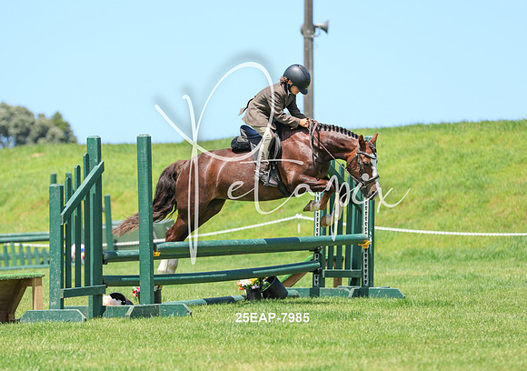 25EAP-7985